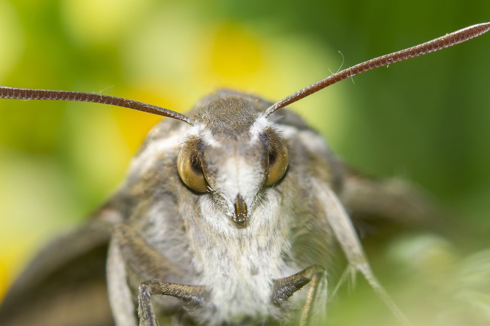 Photograph by Ольга Гоглова