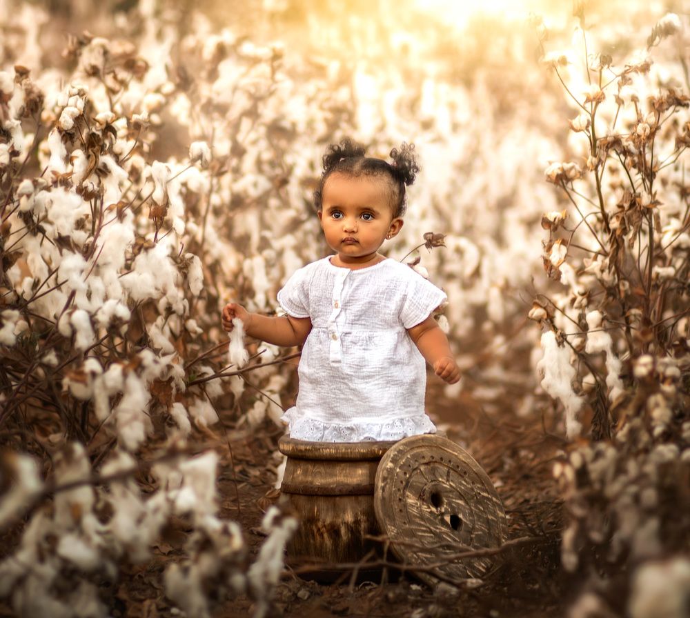 The magic of cotton