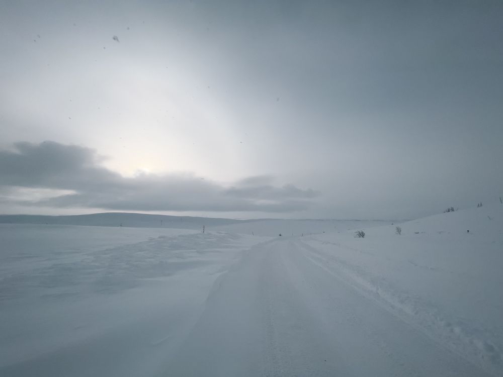 Photograph by Анна Теплицкая