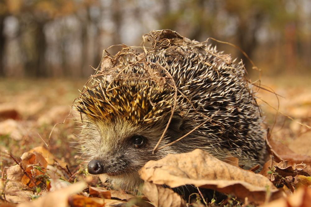 Photograph by Артем Артемьев