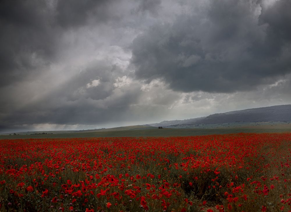 Фотография автора Онучина Юлия