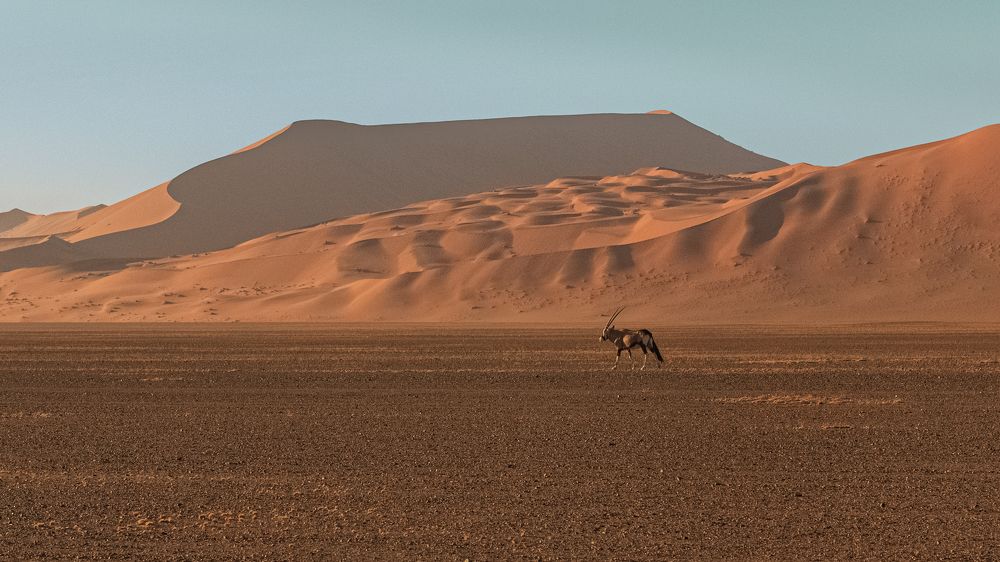 Photograph by Елена Захарова