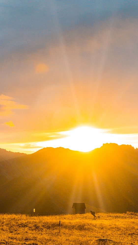 Фотография автора nst see