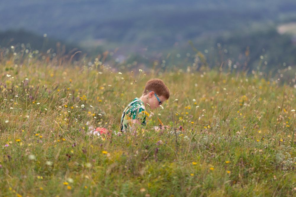Photograph by Виталий Са