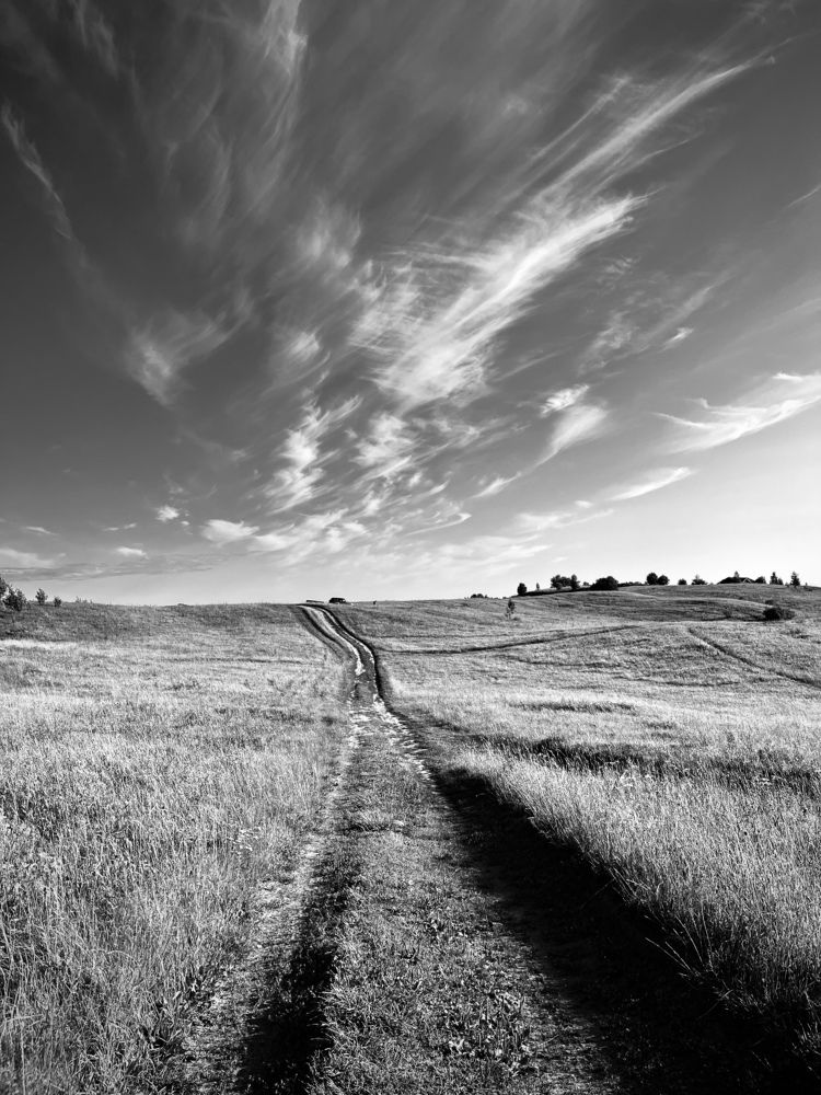 Photograph by Екатерина Сбитякова