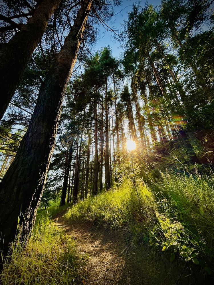 Photograph by Екатерина Сбитякова