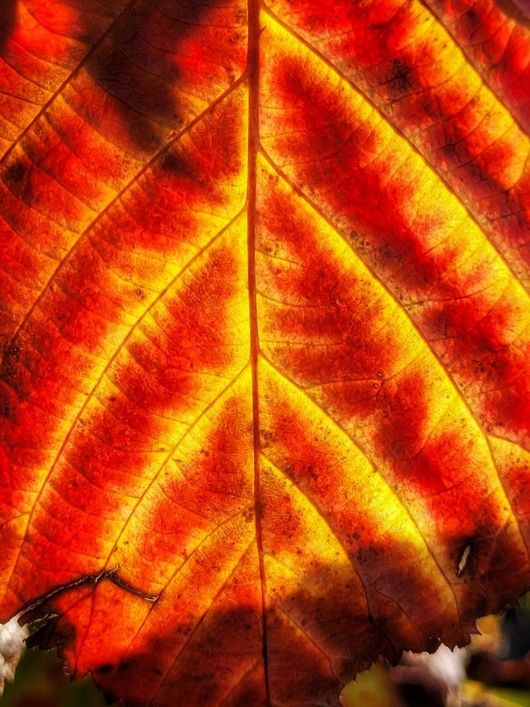 Фотография автора Сергей Назаредский