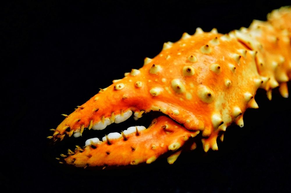 Фотография автора НАТАЛЬЯ СЕВЕР