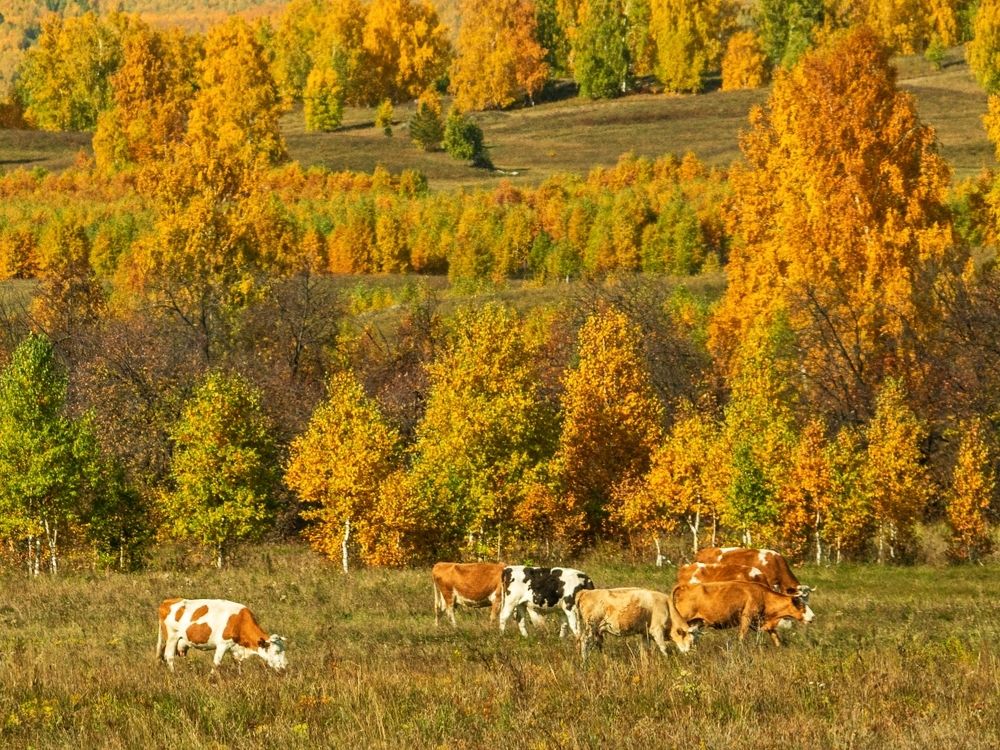 Photograph by Анастасия Глазюк