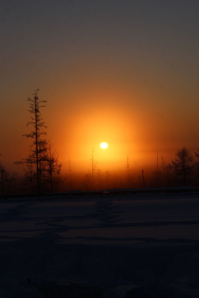 Photograph by Михаил Мархинин