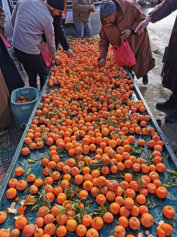 Photograph by Azzeddine Memmou