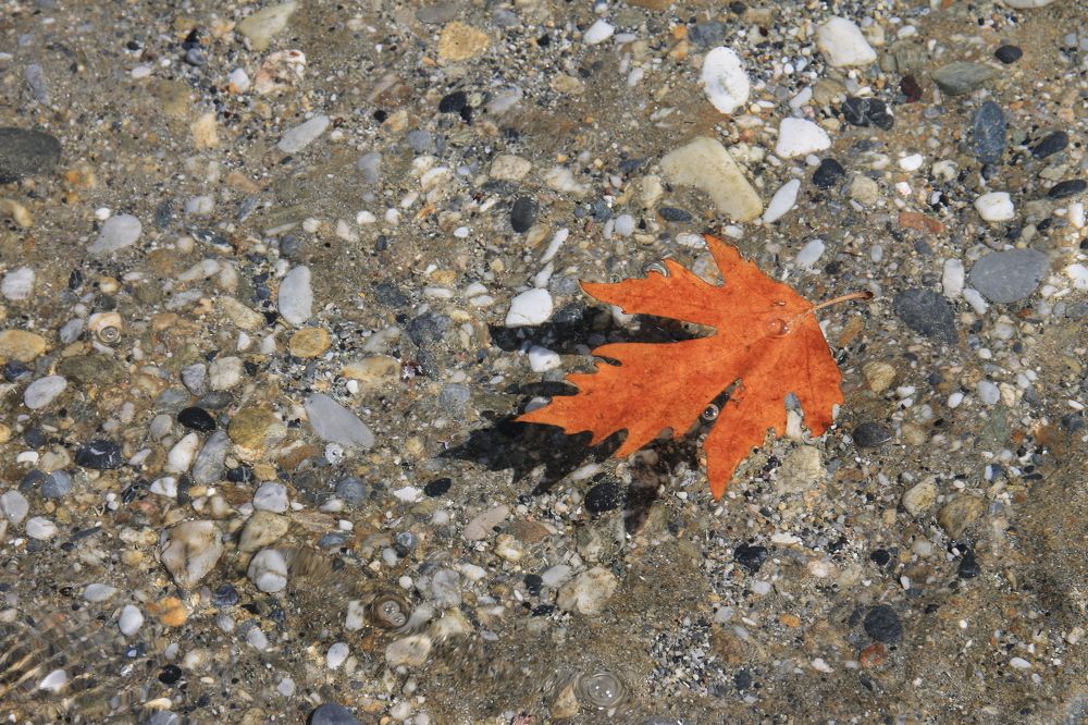 Photograph by Екатерина Кузнецова