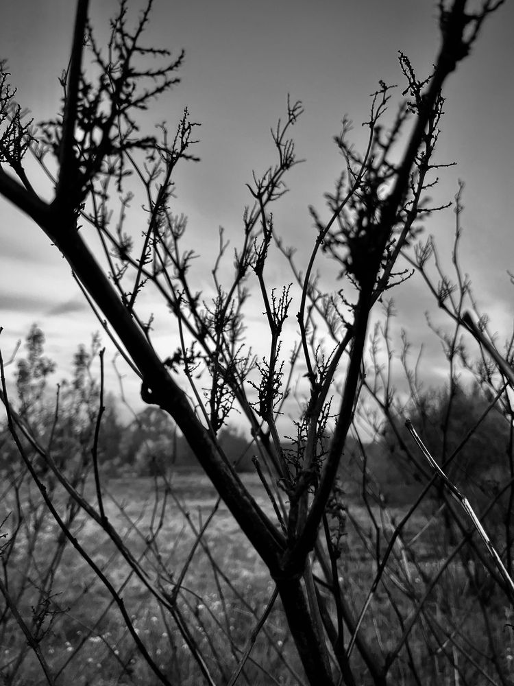 Photograph by Екатерина Сбитякова