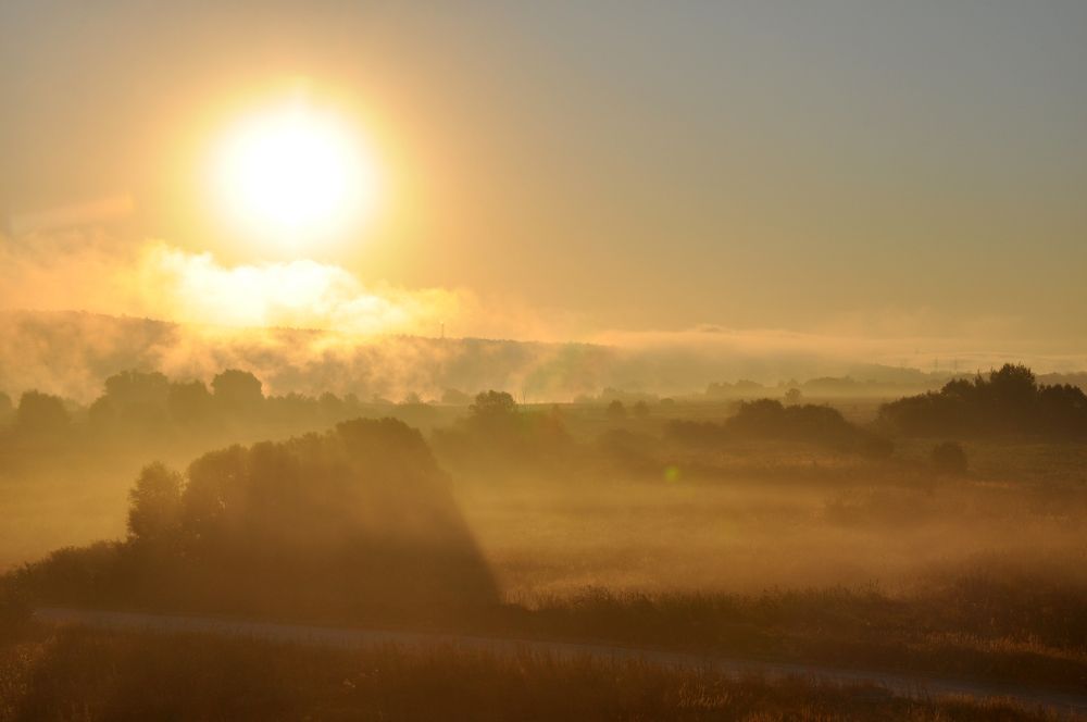 Photograph by Екатерина Молчанова
