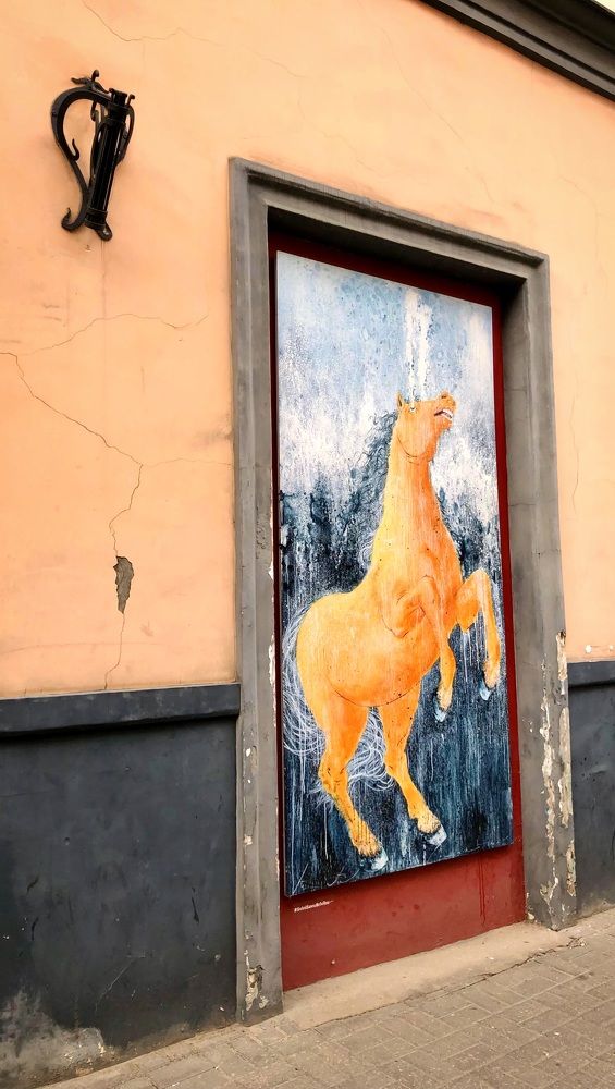 Photograph by Halina Mitsevich