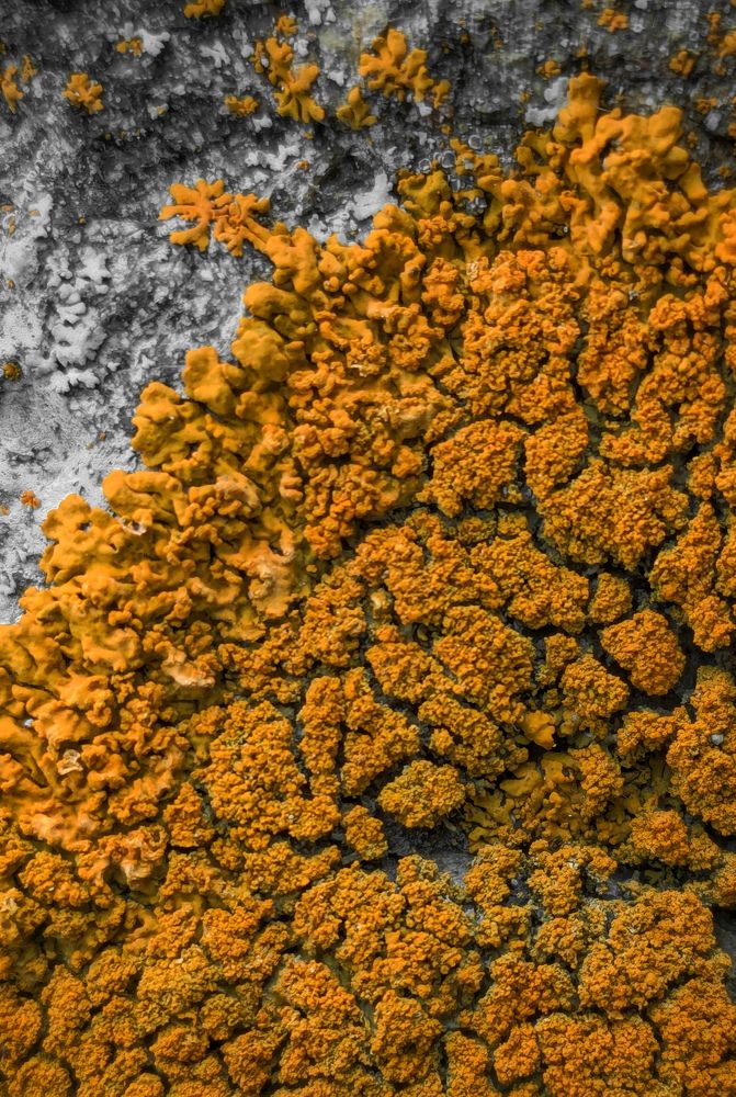 Photograph by Ольга Тимофеева