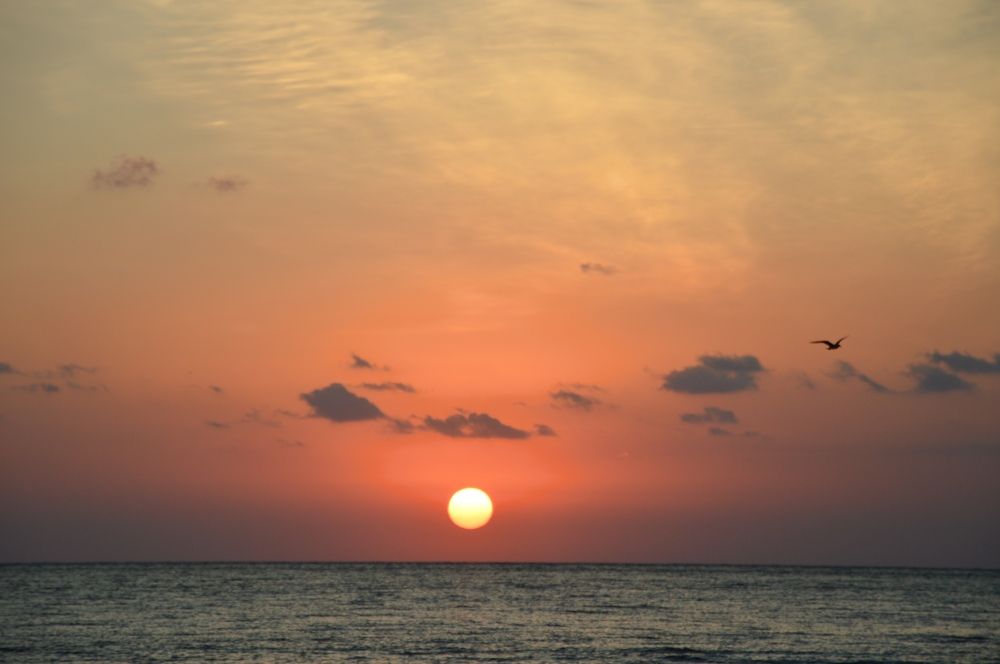 Закат в Сочи