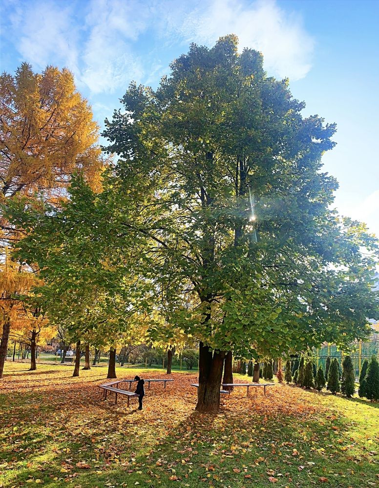 Волшебная осень