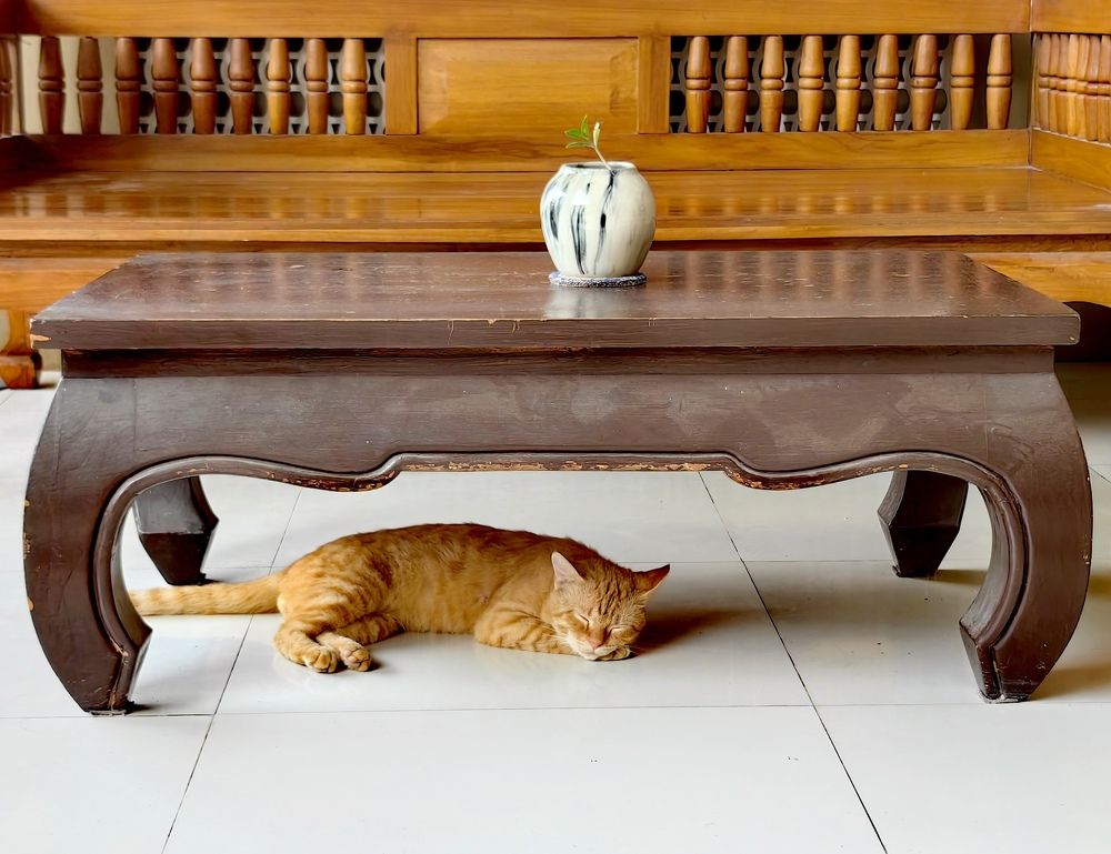 Photograph by Светлана Булыгина