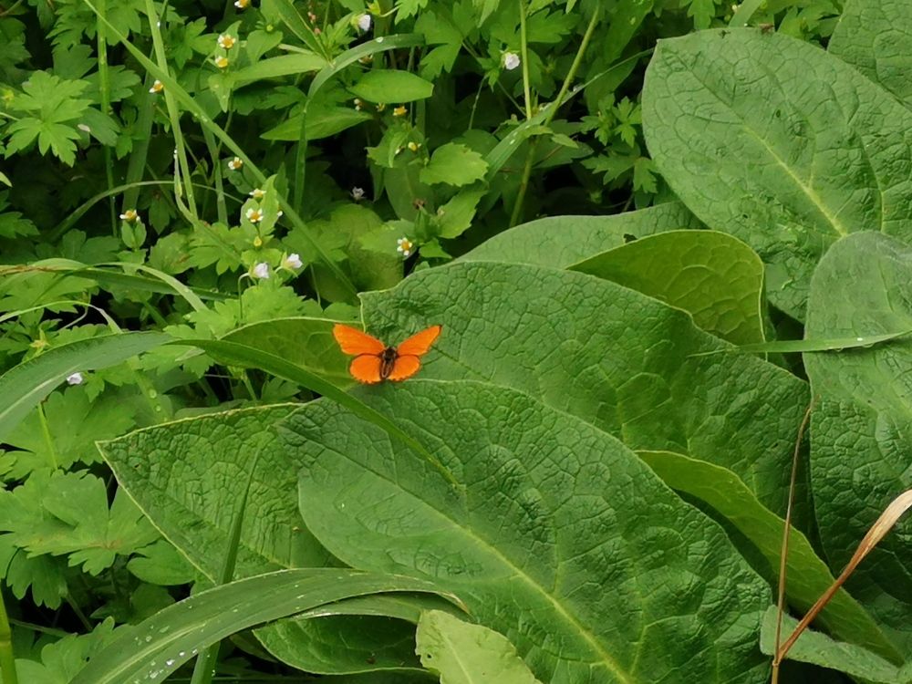 Photograph by Переверзева Татьяна