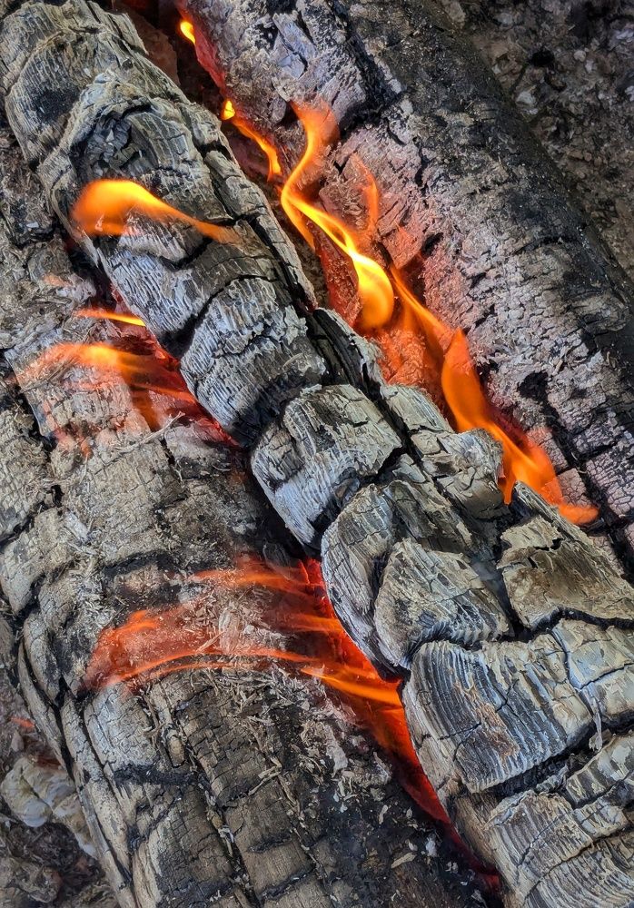 Photograph by Ольга Тимофеева