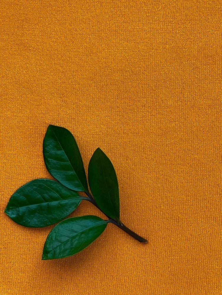 Фотография автора Елена