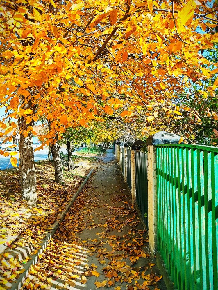 Photograph by Александра