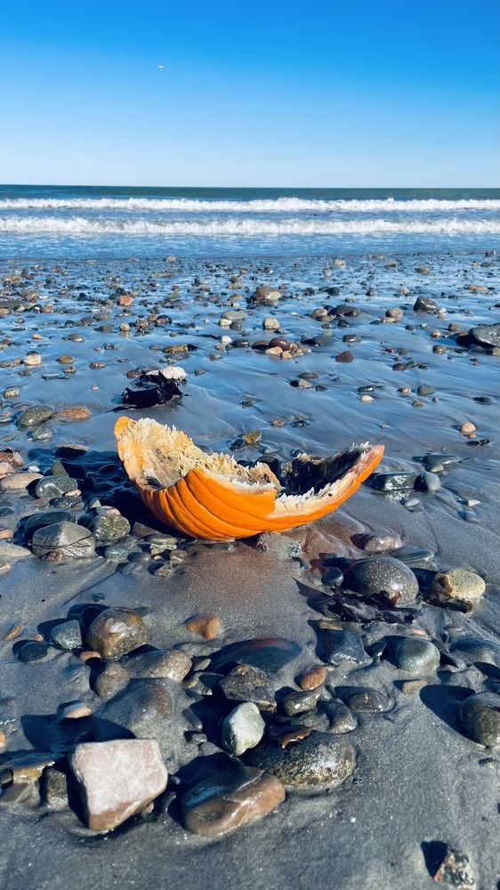 Фотография автора Olga Andriuc