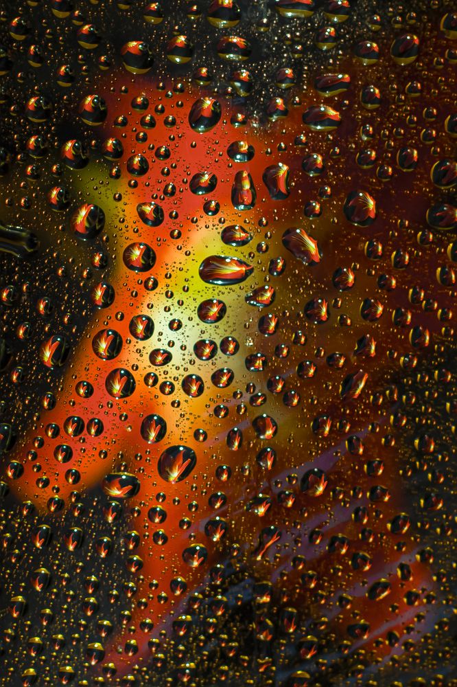 Photograph by Светлана Карнаух