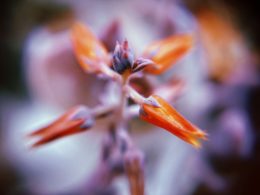 Photograph by Анна Кононец