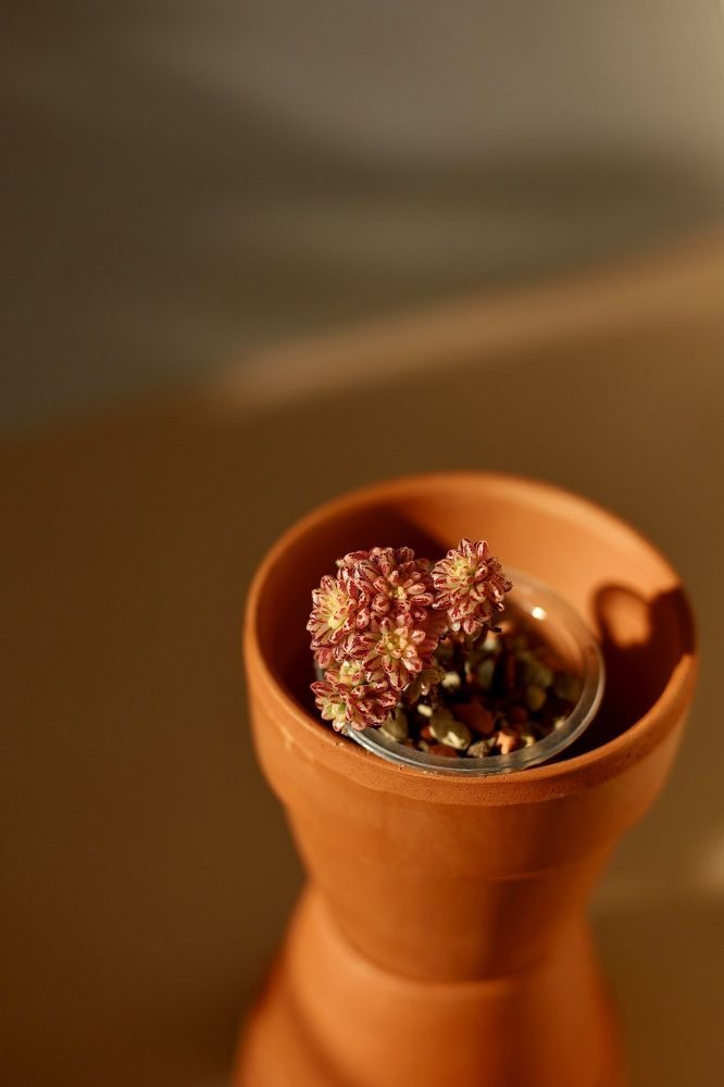 Photograph by Анна Кононец