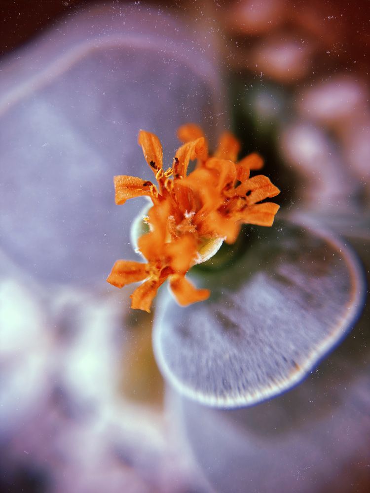 Photograph by Анна Кононец