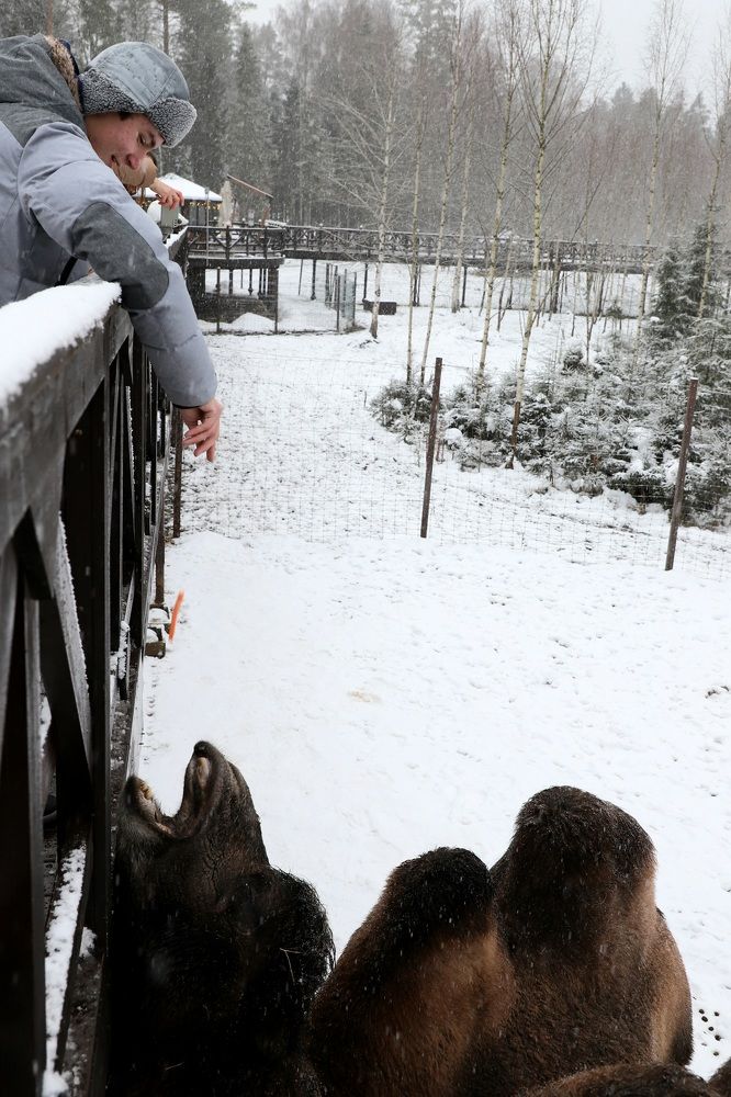 Photograph by Елена Тимченко