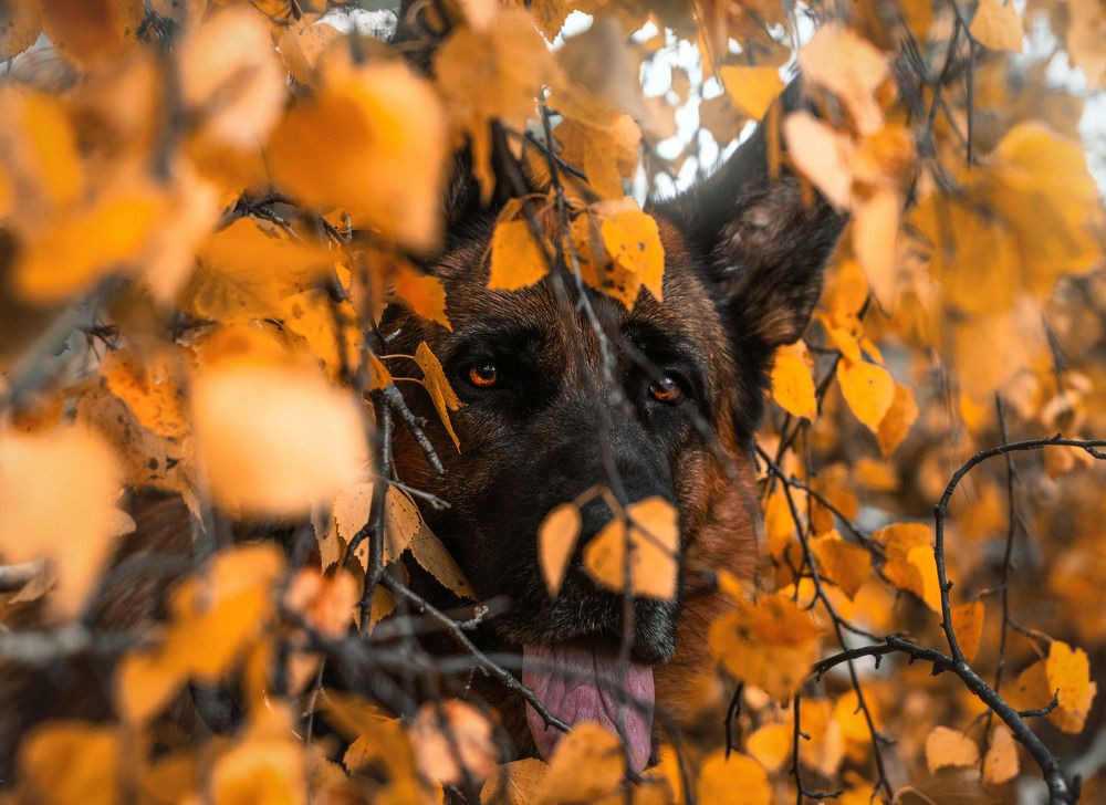 Photograph by Андрей Летов