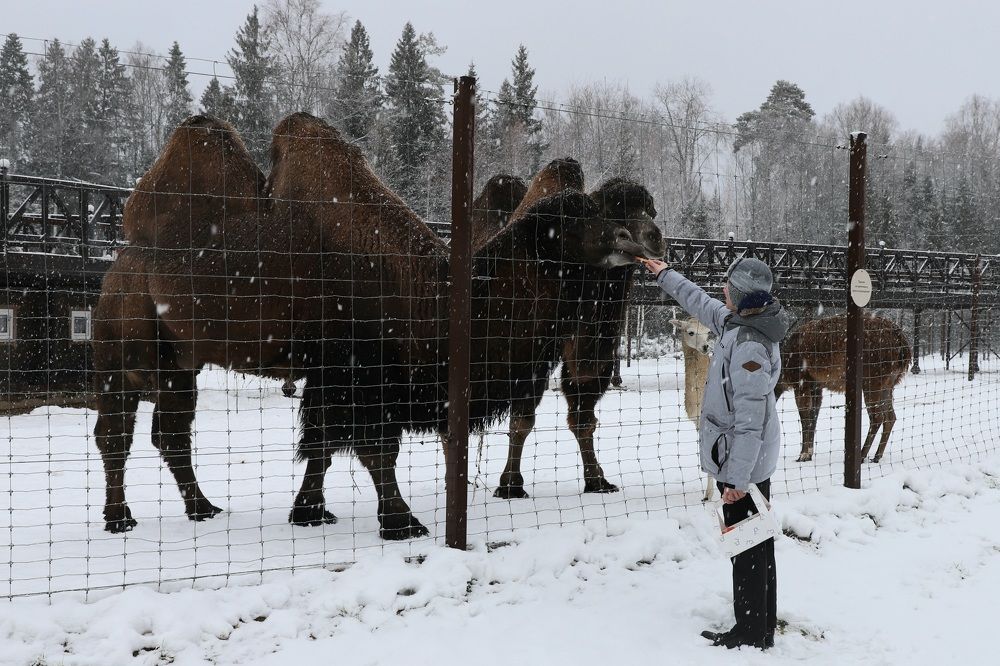 Photograph by Елена Тимченко