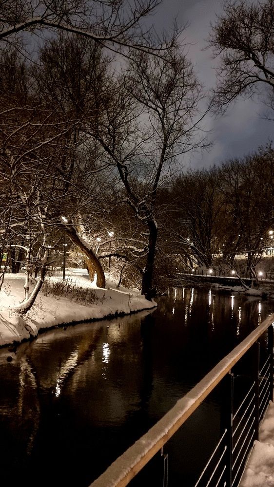 Декабрьский вечер