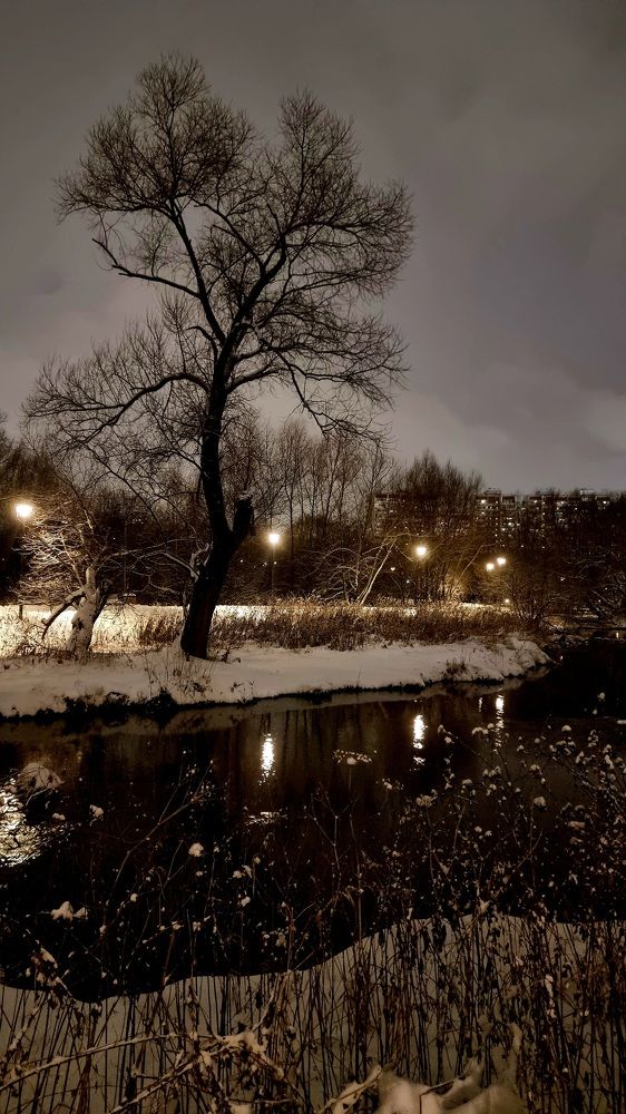 Фотография автора Наталья