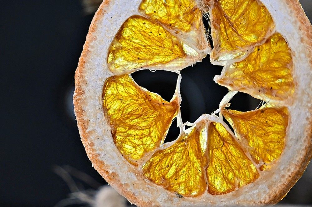 Фотография автора IRINA FILIPPOVA