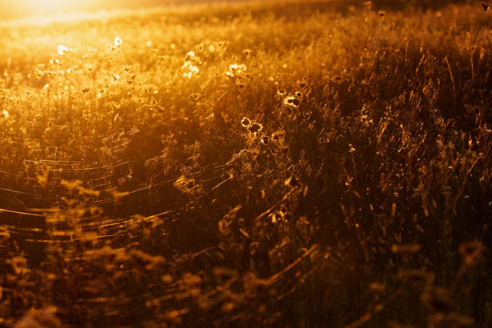 Фотография автора Jozef Mihalčin