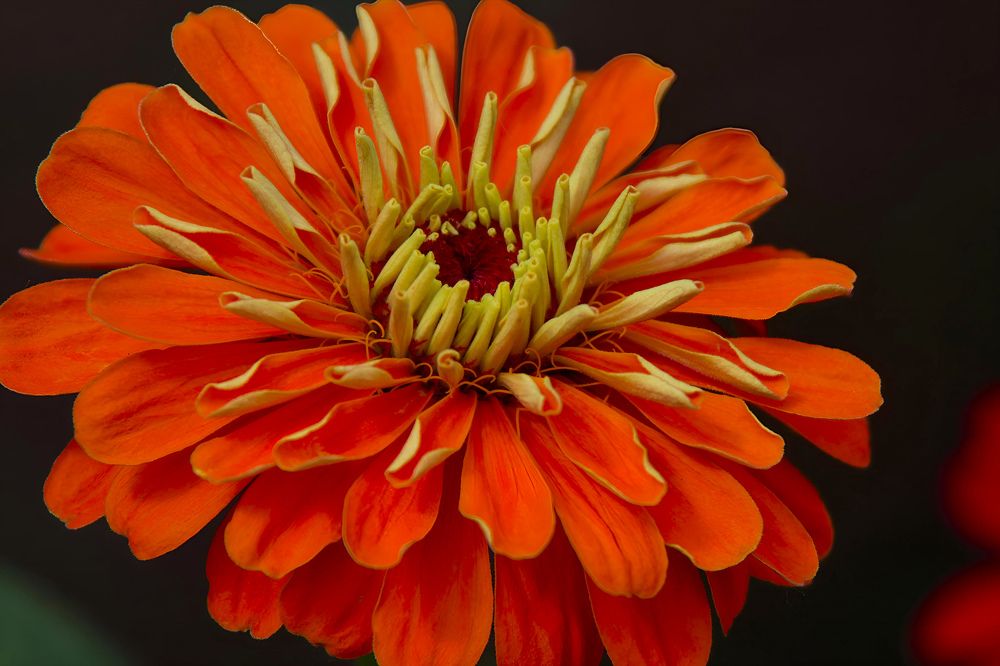 Photograph by Ирина Шибитова