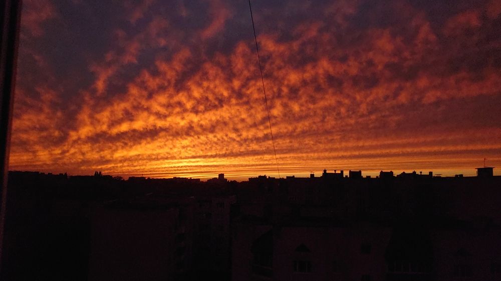 Photo #11487973