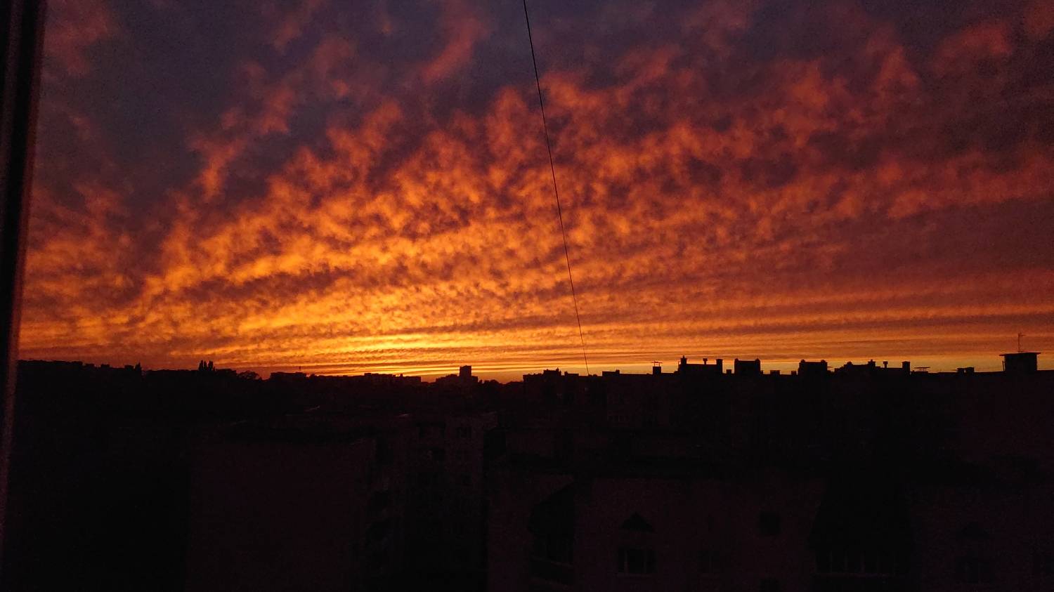 Photo #11487973