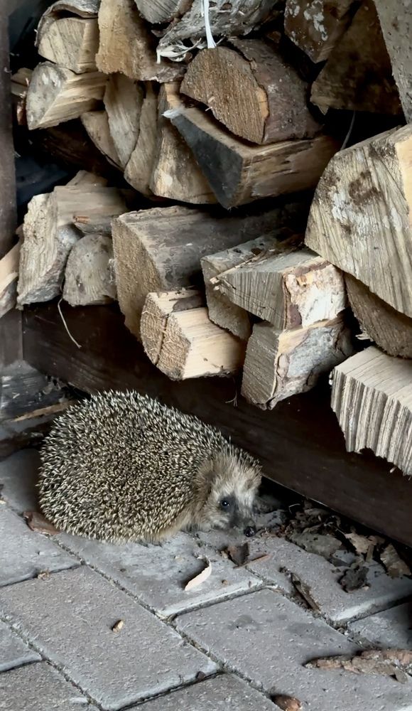 Photograph by Наталья Иванова