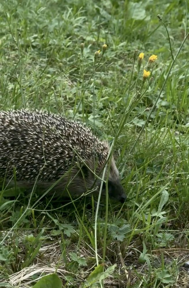 Photograph by Наталья Иванова