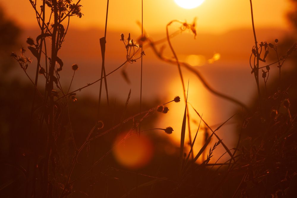 Photograph by ЕЛЕНА Рохо-Фернандес