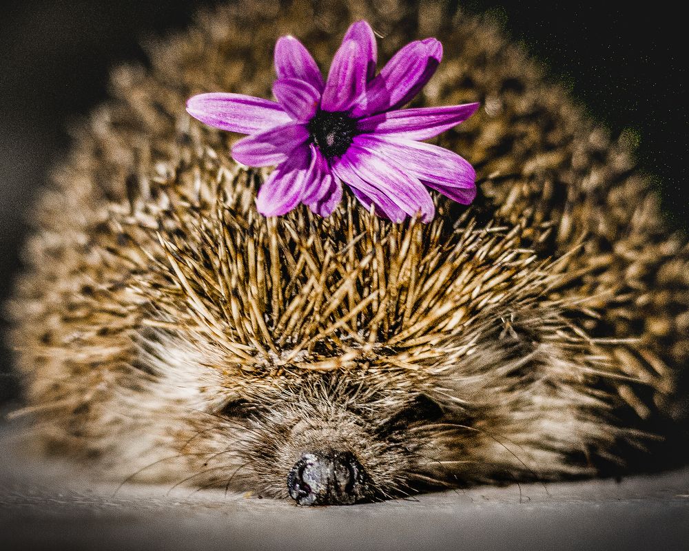 Photograph by Alexandra Sergeeva