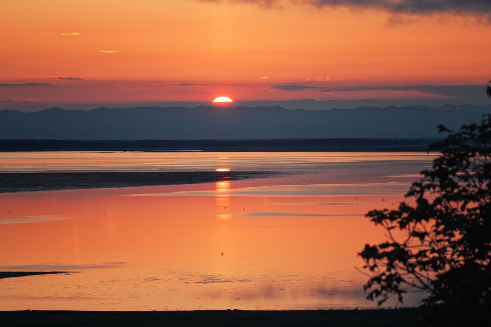 Photograph by ЕЛЕНА Рохо-Фернандес