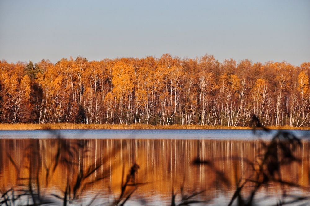 Photograph by Анна Любимова