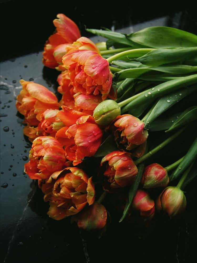 Photograph by Анна Любимова