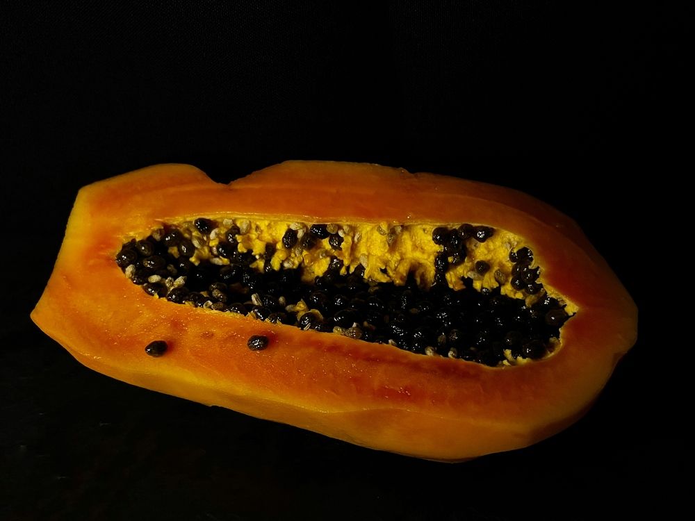 Photograph by Ekaterina